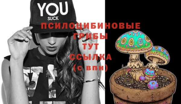 MDMA Premium VHQ Аркадак