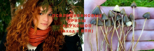 MDMA Premium VHQ Аркадак