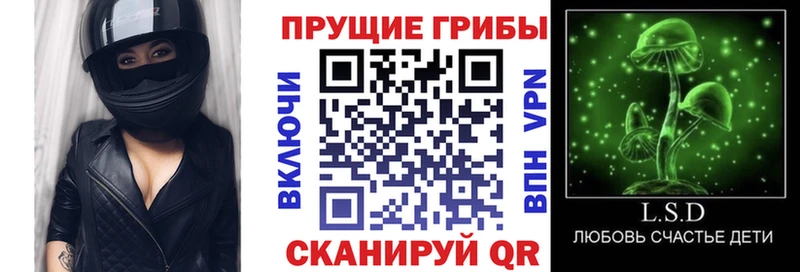 Галлюциногенные грибы прущие грибы  купить наркоту  Кирово-Чепецк 